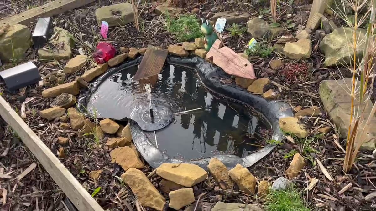 Fake Spring, or Real Spring?