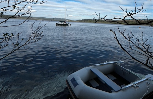 Electric or Petrol - Outboard Decisions